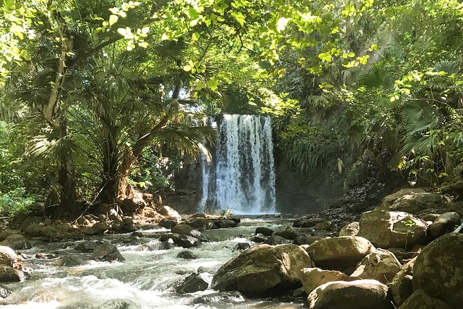Explore The Wild South - Health Considerations and Pricing