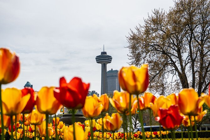 Exploring the Canadian Falls: Boat Cruise & Skylon Tower From USA - Traveler Reviews and Ratings