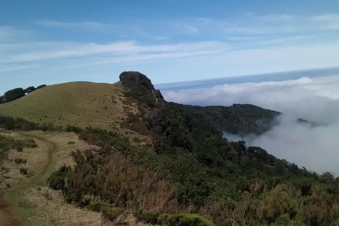 Fanal -Enchanted Forest Private Service - Local Time Considerations