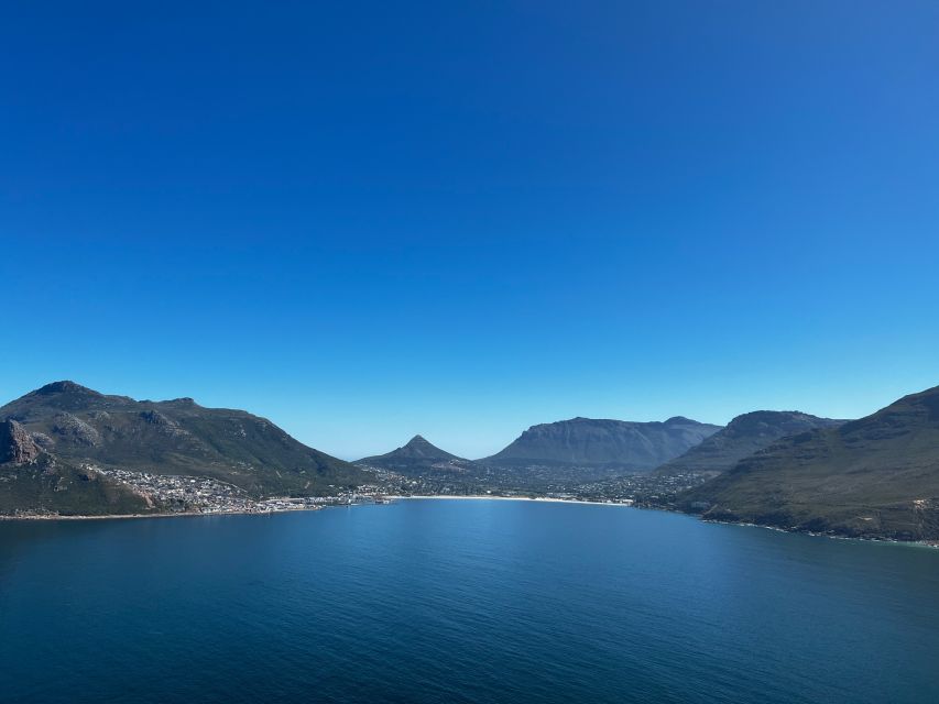 Fascinating Cape Peninsula Experience (Private Tour) - Guest Experiences and Reviews