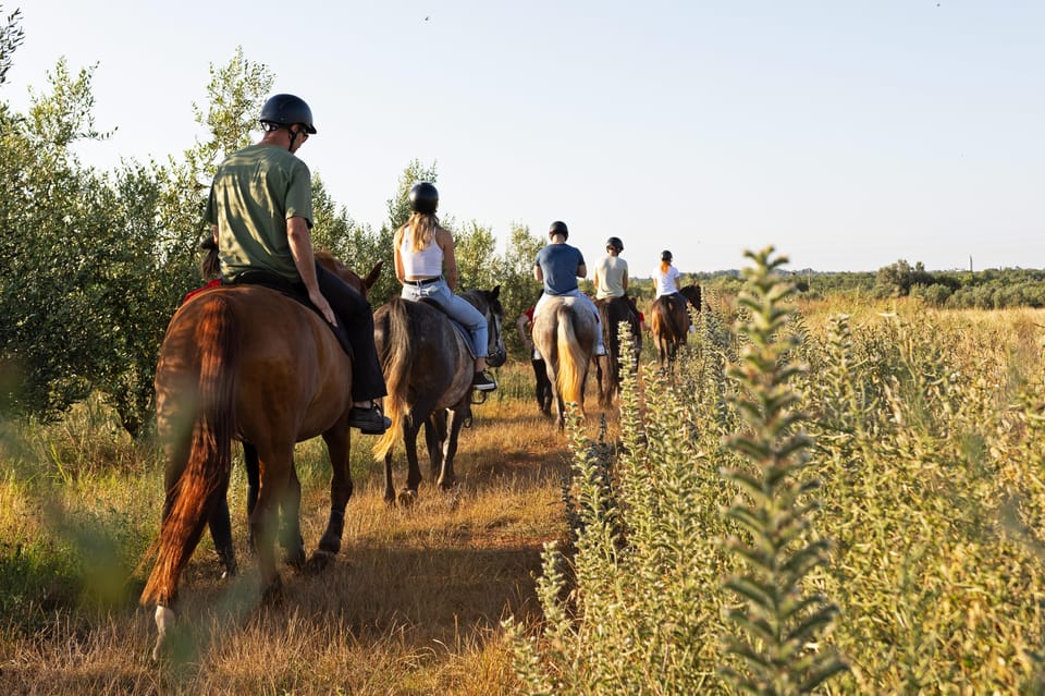 Fazana: Sunset 1-Hour Horse Riding in Nature With Guide - Booking Details