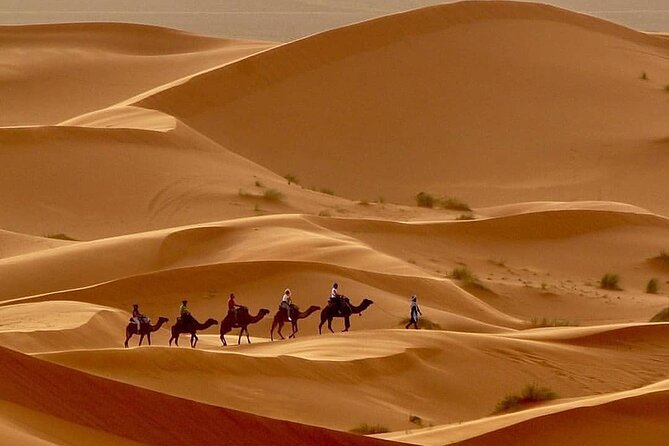 Fes To Marrakech: 3-Day Desert Tour - Important Additional Information