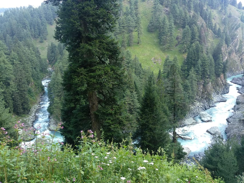 Fly Fishing Kashmir Pristine Water for Rainbow & Brown Trout - Exclusions and Considerations