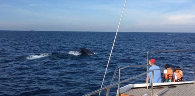 Four-Day Northern Sri Lanka Cruise - Disembarkation Details