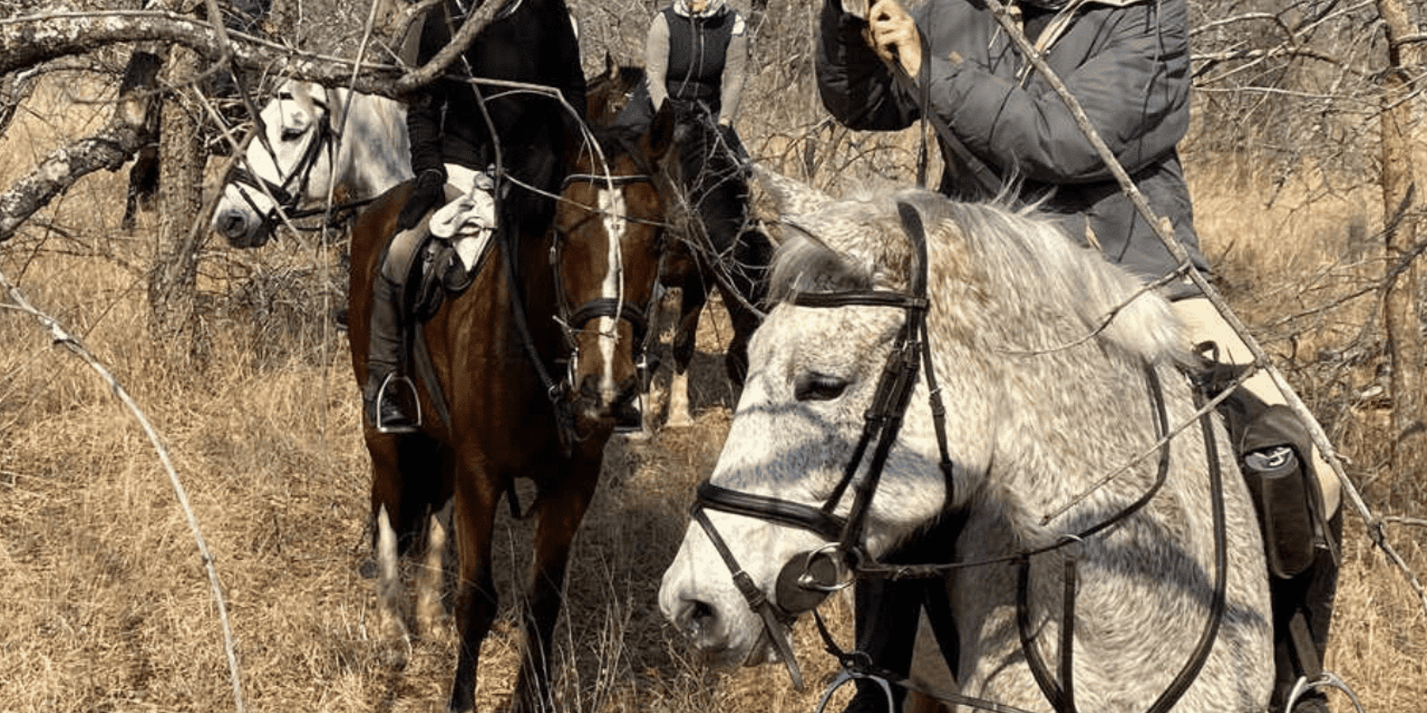 Franschhoek: Full-Day Horseback Riding and Wine Tasting Tour - Tips for an Enjoyable Experience