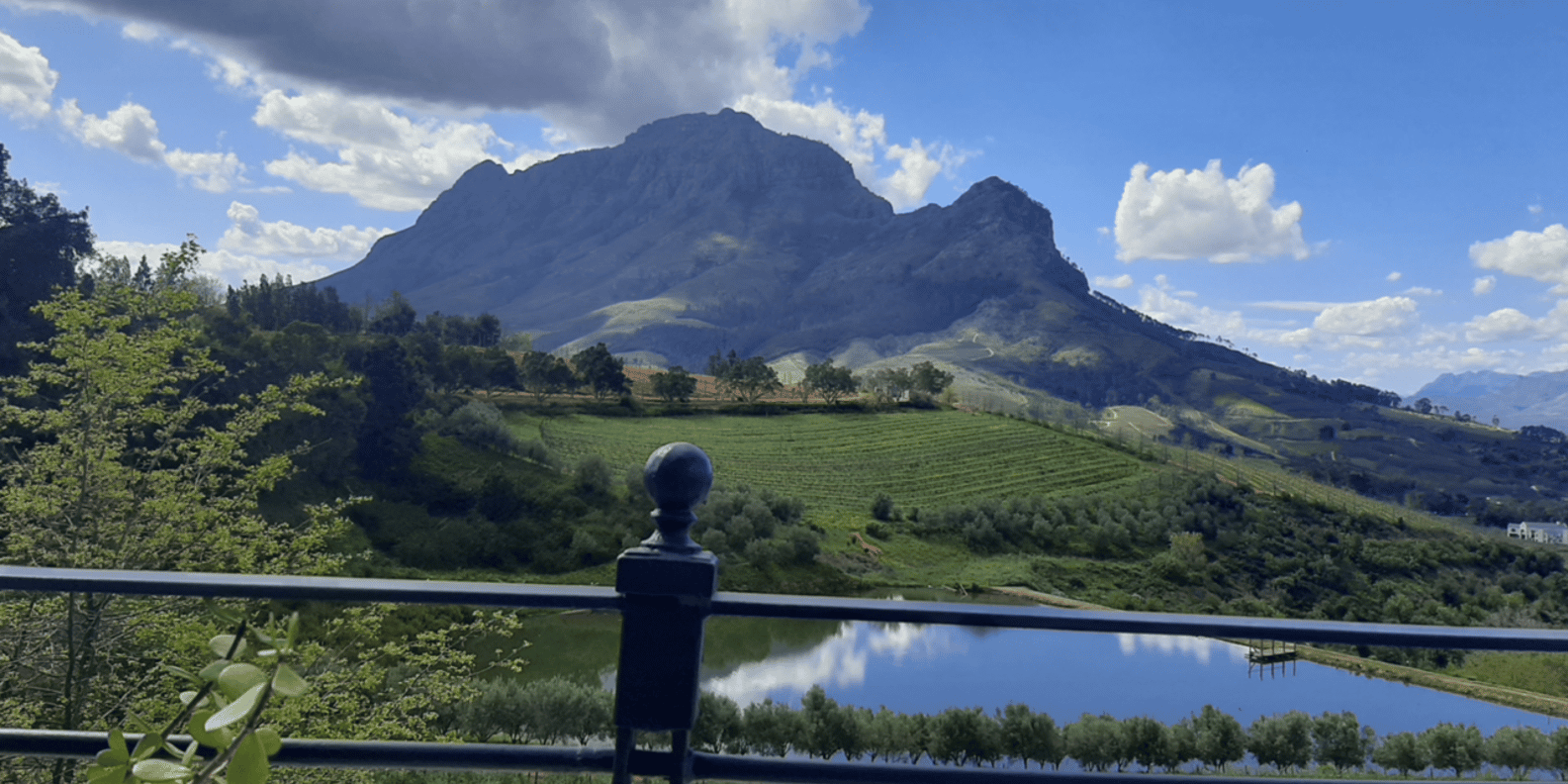 Franschhoek: Half Day Guided Nature Hike and Wine Tasting - Booking and Availability Details