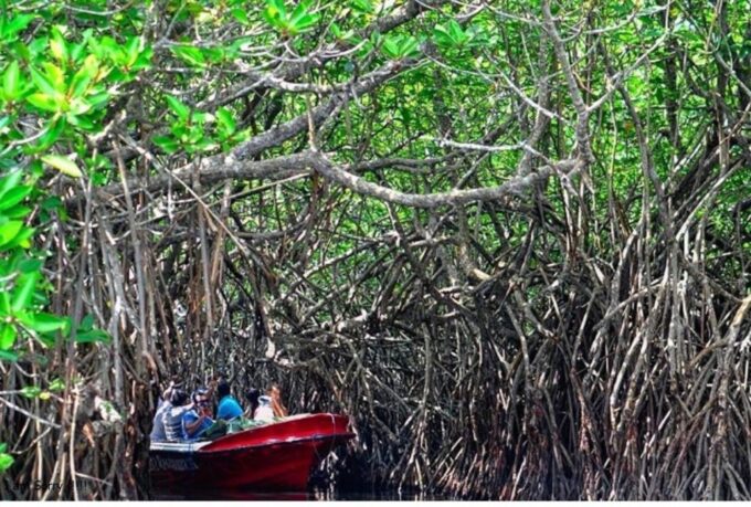 From Bentota: Galle Dutch Fort & Madu River Safari Tour - Pickup and Duration