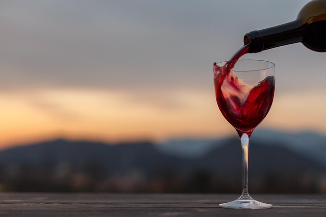 From Bologna: Wine Tasting and Vineyard Tour With the Winemaker - About the Tour Operator