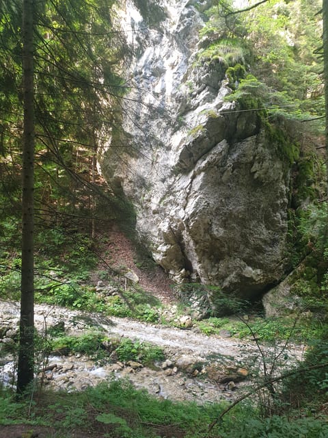 From Brasov: Hiking in Piatra Craiului National Park - Tips for Hikers