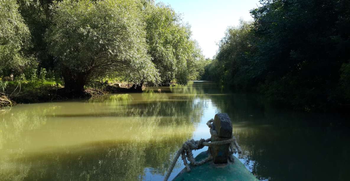 From Bucharest: 3-Day Danube Delta Birdwatching Private Tour - Important Information