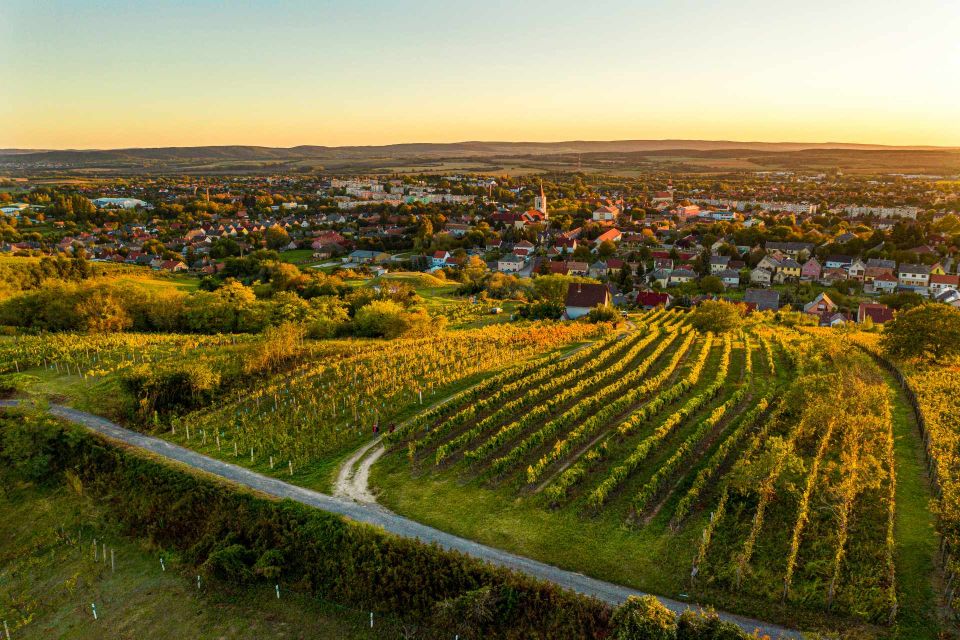 From Budapest: Etyek Half-Day Wine Tour - Why Choose Etyek?