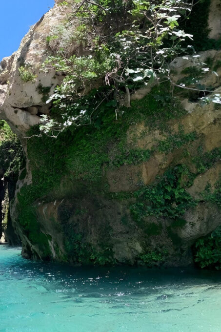 From Chania: Preveli Palm Beach and Kourtaliotis Waterfalls - Inclusions and Exclusions