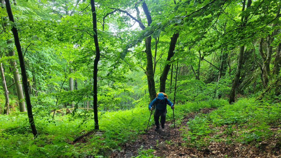 From Cluj-Napoca: Apuseni Mountains Hiking Guided Day Tour - Booking Information