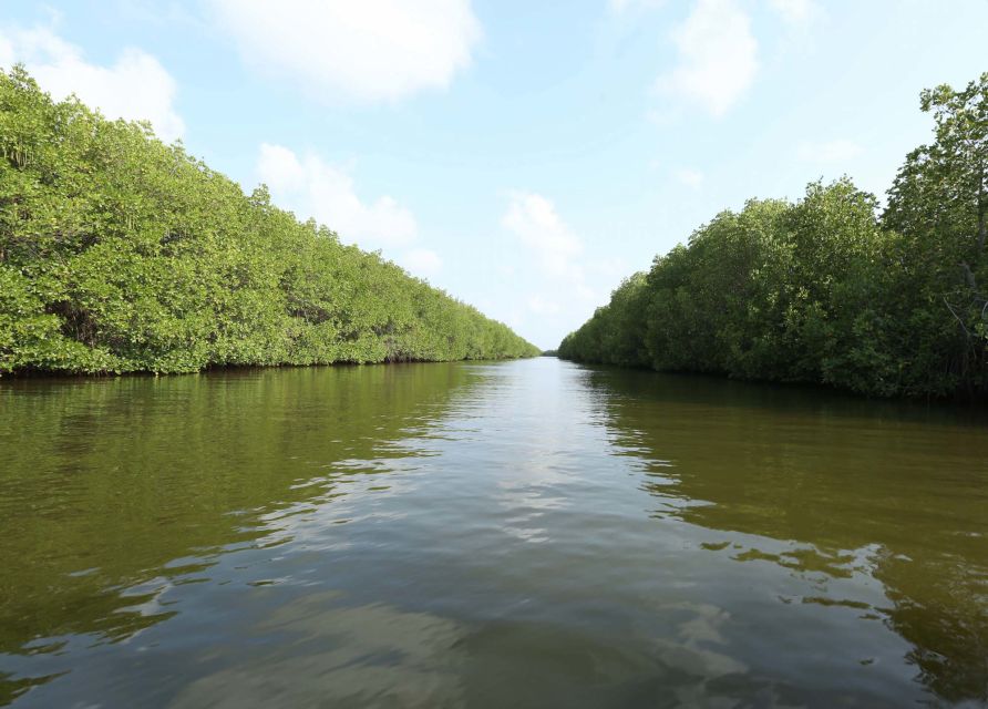 From Colombo: Negombo Lagoon (Mangrove )Boat Excursion - Restrictions and Requirements