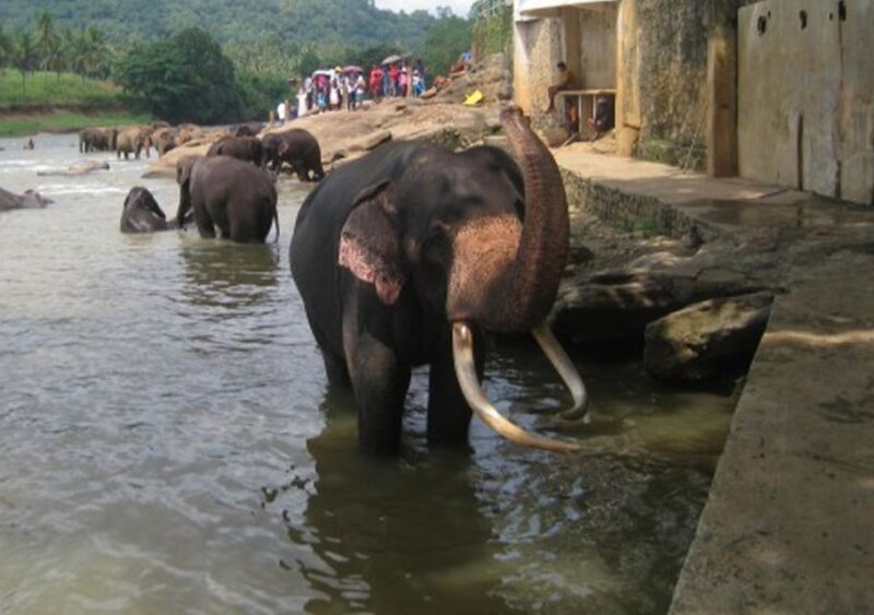 From Colombo: Private 2-Day Sri Lanka Highlights Trip - Booking and Availability