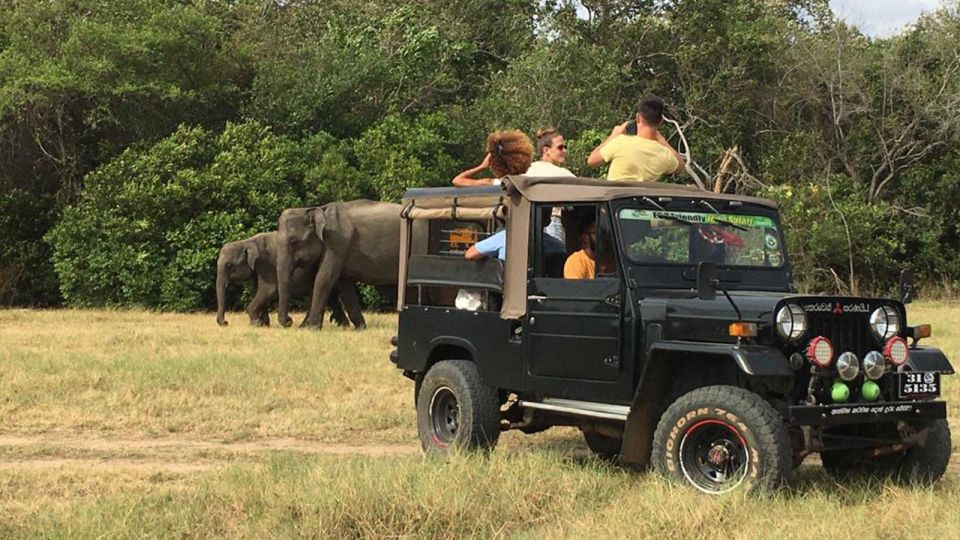 From Colombo: Sigiriya and Dambulla Day Trip and Wild Safari - Sigiriya Lion Rock