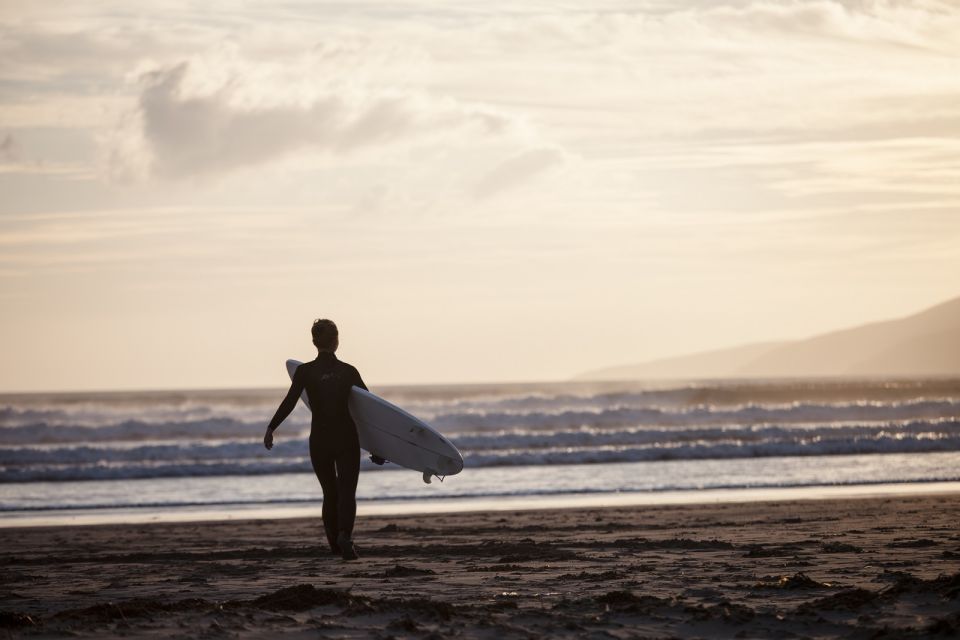 From Cork: Full-Day Guided Tour to Dingle Peninsula - What to Expect on the Tour