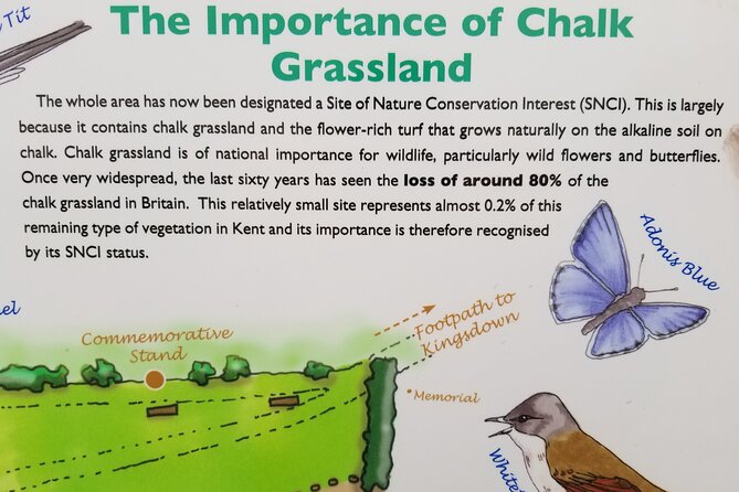 From Dover Cruise Ship; Grand Tour of White Cliffs Country & Back - Reviews and Feedback
