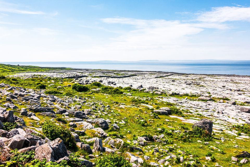 From Dublin: Cliffs of Moher, Burren & Galway City Day Tour - Tips for Enjoying the Tour