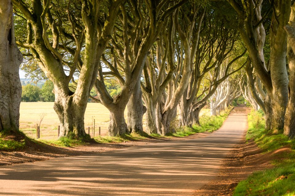 From Dublin: Giants Causeway & Belfast Titanic With Ticket - Booking and Cancellation Policy