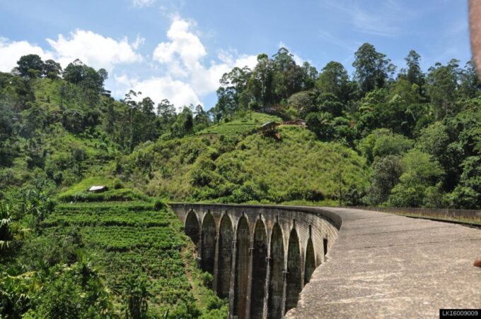 From Ella: Little Adam's Peak and Nine Arches Bridge Hiking - Customer Feedback