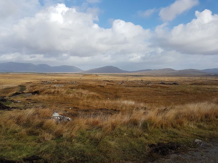 From Galway: Connemara and Kylemore Abbey Day Tour - Tips for a Great Experience