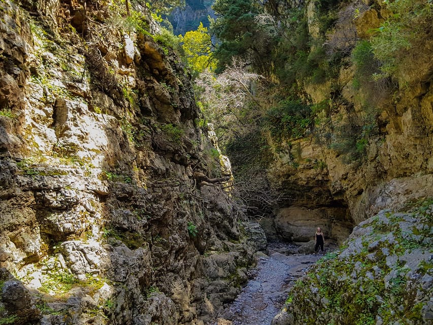 From Heraklion: Imbros Gorge Hike and Sfakia Private Tour - Swim in the Lybian Sea