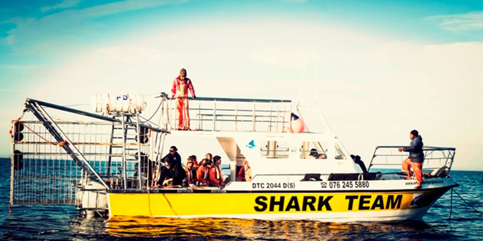 From Hermanus or Cape Town: Shark Cage Diving Experience - Ratings and Customer Feedback