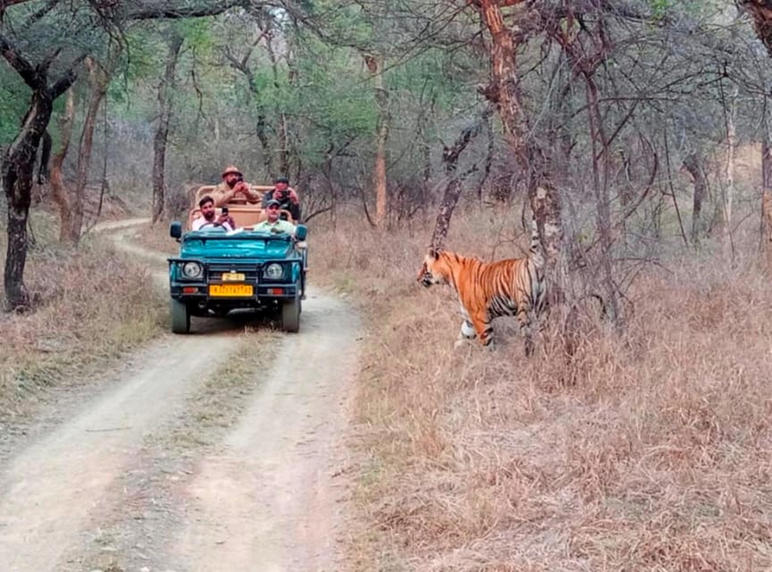 From Jaipur : 2 Days 1 Night Ranthambore Tiger Safari Tour - Exclusions