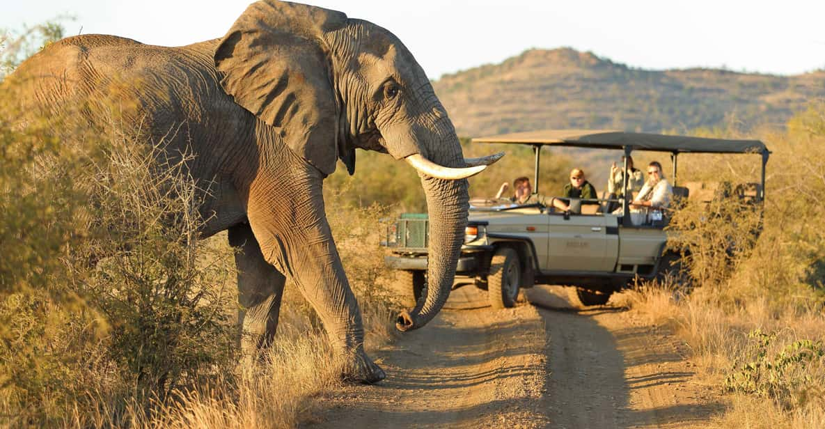 From Johannesburg : 4 Day Madikwe Reserve Luxury Safari - Policies and Restrictions