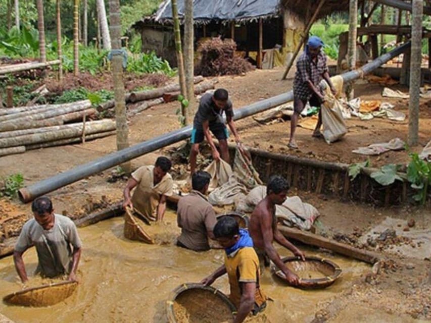 From Kalutara: a Private Gem Tour With an Industry Expert - Gemological Museum Tour