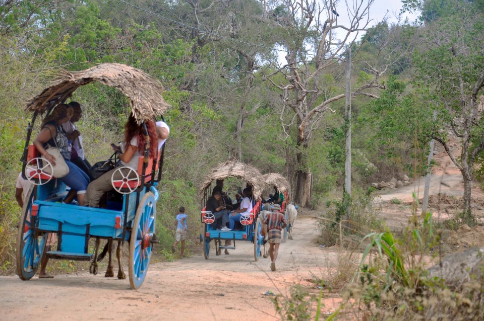 From Kandy: Sigiriya Rock, Village Tour and Minneriya Park - Customer Reviews