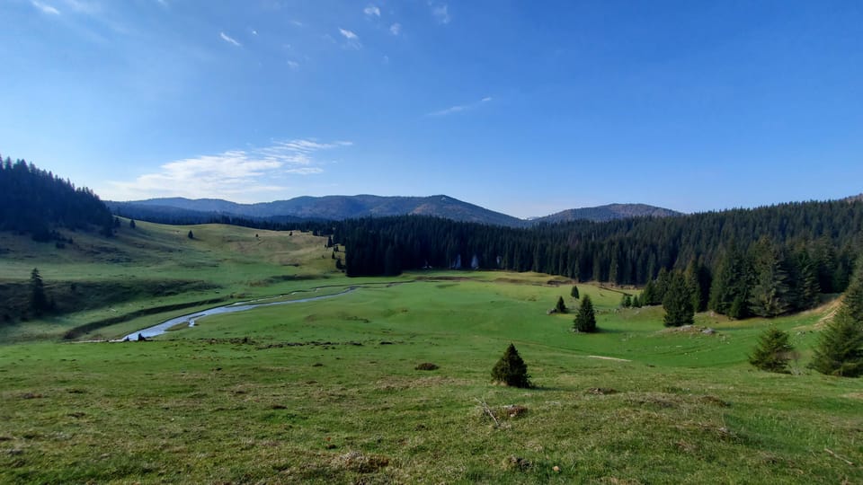 From Oradea:Carpathian Mountains Guided Scenic Hike - Local Wildlife and Scenery