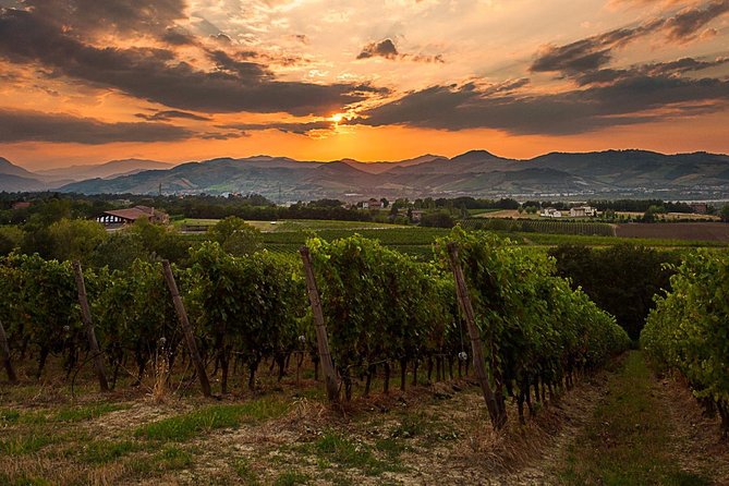 From Parma: Parmigiano,Prosciutto and Winery Tour and Tasting - Parma Hills Winery