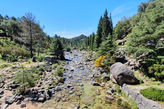 From Porto: Peneda-Gerês National Park Full Day Tour - Exploring Peneda-Gerês