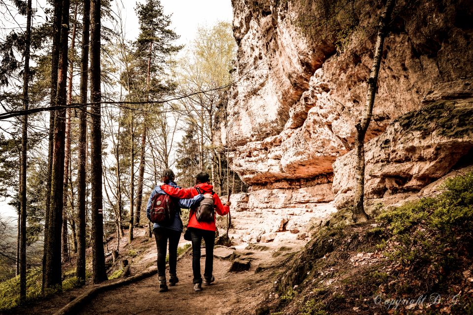 From Prague: Bohemian and Saxon Switzerland Scenic Tour - Bastei Rock Formation and Elbe Canyon