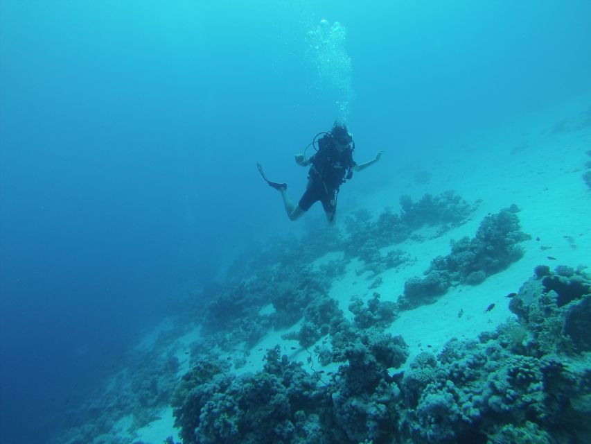 From Sharm or Dahab: Blue Hole & Canyon Sea Dive Experience - Not Included in Package