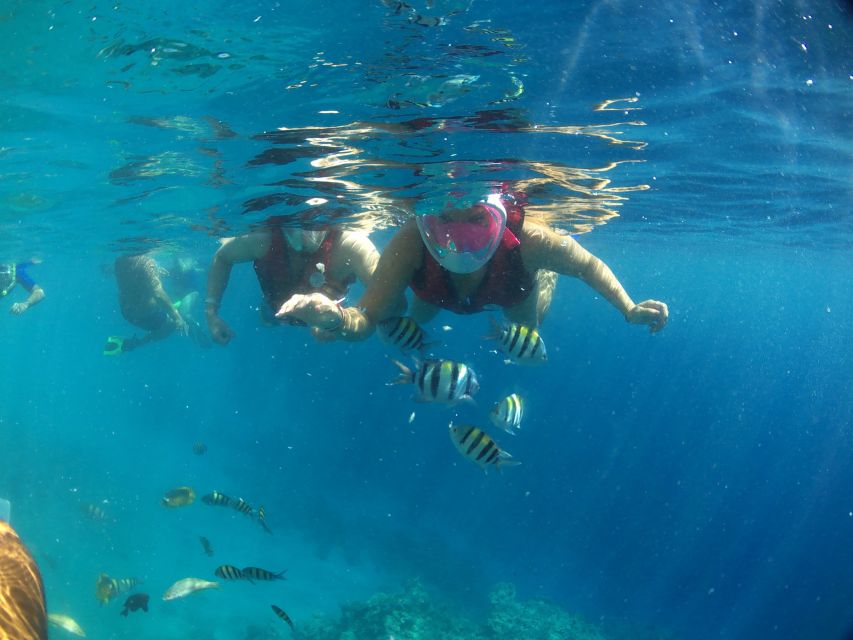 From Soma Bay and Makadi: Sharm El Naga Snorkeling Trip - Booking and Cancellation Policy