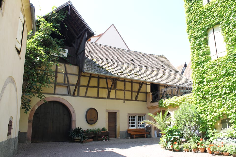 From Strasbourg: Half-Day Tour of Alsace Villages - Discovering Alsace Wines