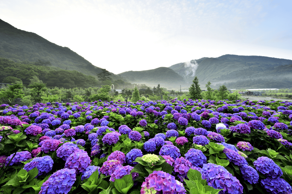 From Taipei : Yangmingshan, Yehliu, Jiufen, Shifen Day Tour - Guide and Language