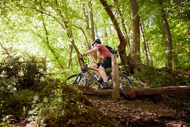 Fruska Gora Bike Tour - Scenic Vistas