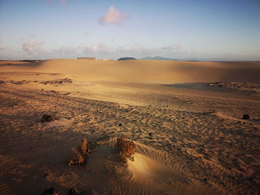 Fuerteventura: Corralejo Sand Dunes for Cruise Passengers - Reservation and Cancellation