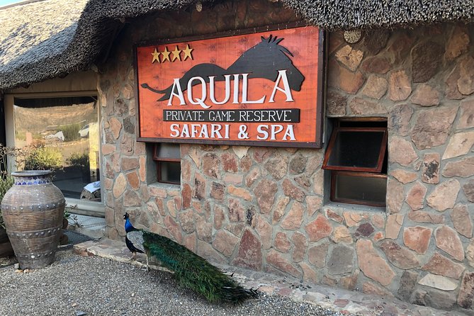 Full Day Big 5 Aquila Safari Private Transfers Including Park Fee From Cape Town - Additional Highlights and Activities