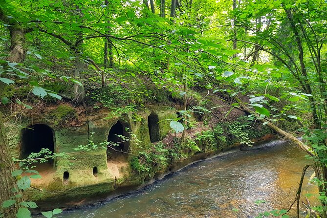 Full Day Gauja National Park Ultimate Hiking & Sightseeing Trip - Tour Reviews