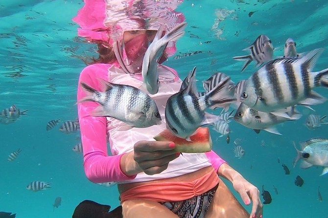 Full Day Group Tour To Mnemba Island For Snorkeling Activities - Preparing for the Adventure