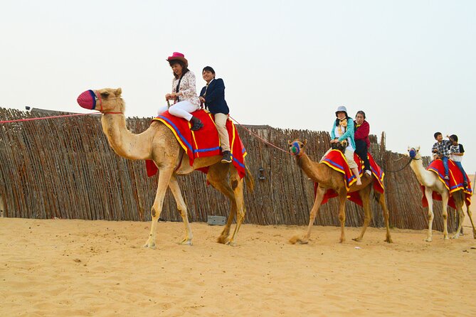 Full-Day Guided Red Dunes Desert Tour in Dubai With Camel Ride - Tips for a Great Experience