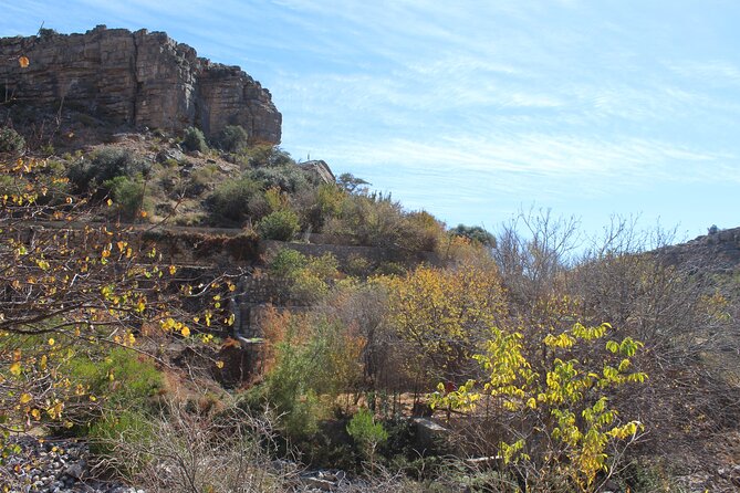 Full-Day Guided Tour to Jebel Akhdar - Booking and Availability