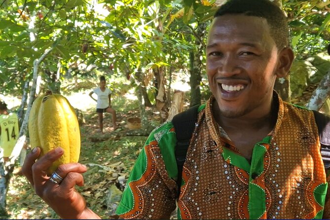 Full-Day Jungle Trek on Nosy Komba (Lemur Island) With the Black Lemur Sanctuary - Preparing for Your Adventure