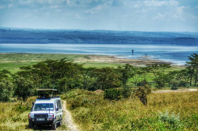 Full Day Lake Nakuru Park and Optional Boat Ride on Lake Naivasha - Booking Information