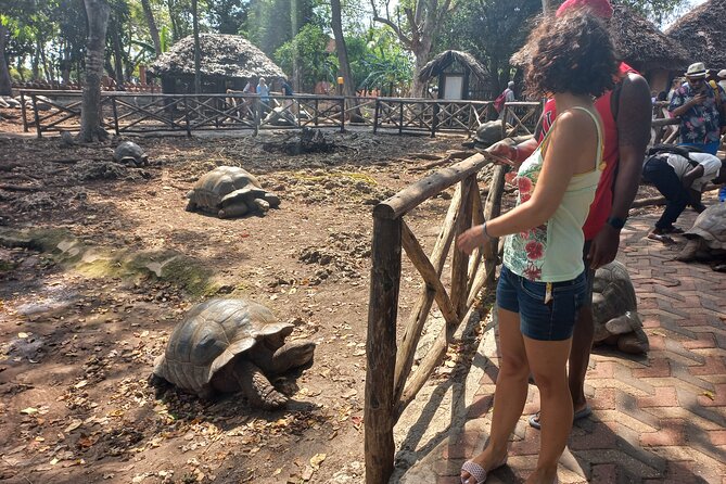 Full-Day Prison Island, Nakupenda and Stone Town Tour With Lunch Buffet - Exploring the Zanzibar Highlights